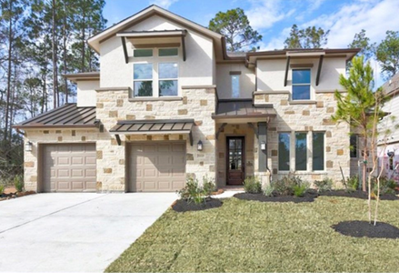 ARTAVIA® - 60' by Westin Homes in Conroe - photo 19 19