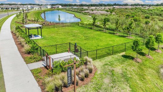 Farm at Varrea Villas by D.R. Horton in Plant City - photo 7 7