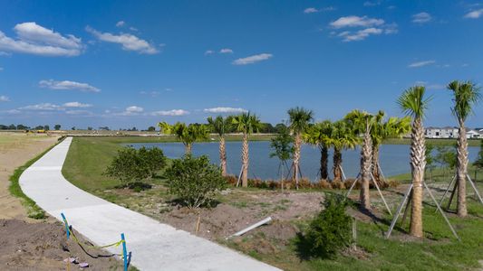 Harmony at Lake Eloise by Casa Fresca Homes in Winter Haven - photo 5 5