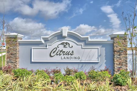 Citrus Landing by Adams Homes in Davenport - photo 0