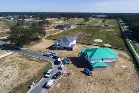 Willow Run by M/I Homes in Apopka - image