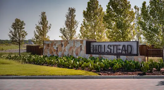 Hillstead 60' by Perry Homes in Lavon - image