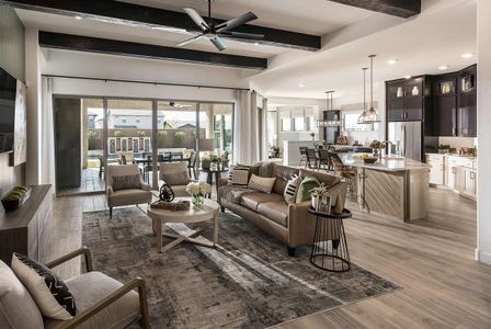 Eastmark Voyage by David Weekley Homes in Mesa - photo 18 18