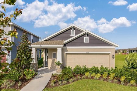 Waterset Garden Series by David Weekley Homes in Apollo Beach - photo 18 18