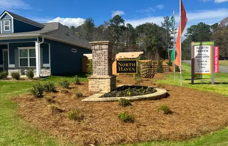 North Haven by Smith Douglas Homes in Rome - image