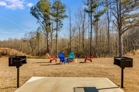 Cedar Park by Trademark Quality Homes in Carrollton - photo 8 8