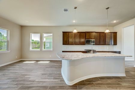 Peacock Isle by Bayway Homes in Dickinson - photo 46 46