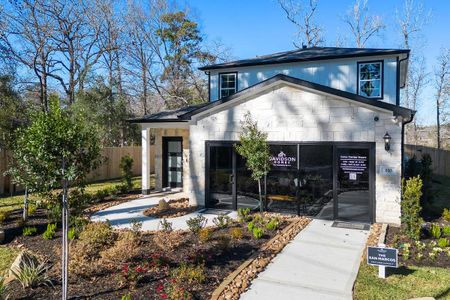 Lakes at Black Oak by Davidson Homes LLC in Magnolia - photo 10 10