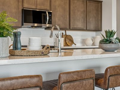 The Vistas Collection at Silver Cross 11