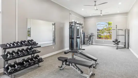 Coral Bay - Express & Tradition by D.R. Horton in North Fort Myers - image 17