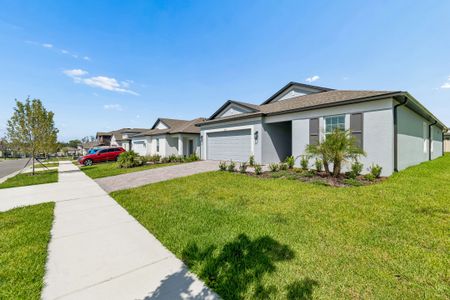 Berry Bay by M/I Homes in Wimauma - image 6