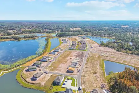 Connerton by M/I Homes in Land O' Lakes - image