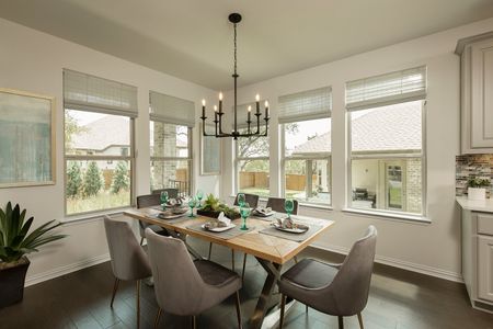 6 Creeks 55' by Coventry Homes in Kyle - image 17