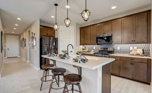 IronWing at Windrose by Brightland Homes in Litchfield Park - photo 14 14