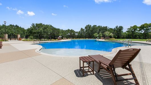 Lively Ranch Emerald by D.R. Horton in Georgetown - photo 75 75