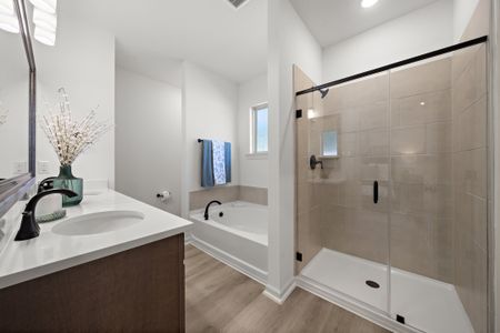 Mostyn Springs by DSLD Homes in Magnolia - image 11