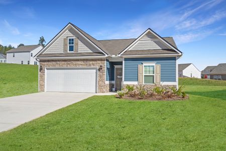 Dry Creek Village by Smith Douglas Homes in Lillington - image 9