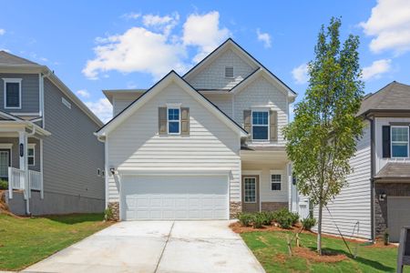 Wind Haven by Smith Douglas Homes in Ooltewah - image 12