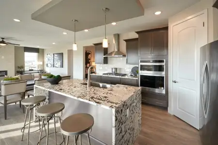 Sterling Ranch Apex Collection by Pulte Homes in Littleton - photo 21 21