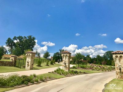 Montalcino Estates by Our Country Homes in Flower Mound - photo 2 2