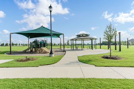 The Oasis at North Grove 75-80 by Bloomfield Homes in Waxahachie - photo 9 9