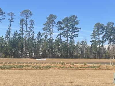 Sheep Island by D.R. Horton in Summerville - photo 42 42