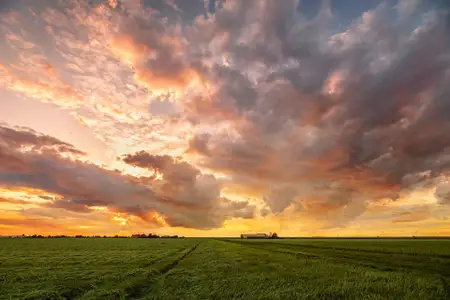 Preservation Creek by Smith Douglas Homes in Alvin - image 11
