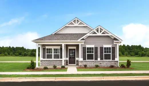 Stratford Station by Smith Douglas Homes in Lebanon - image 10