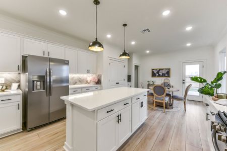 Aldeana by DSLD Homes in Bonney - image 9