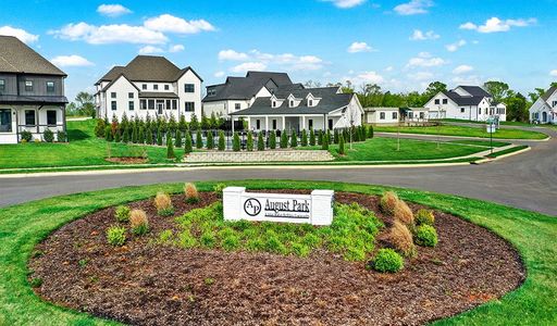 August Park by Richmond American Homes in Spring Hill - image