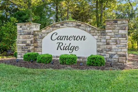 Cameron Ridge 2-Story by Ryan Homes in Columbia - image