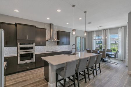 Palms at Windermere by Dream Finders Homes in Windermere - photo 10 10