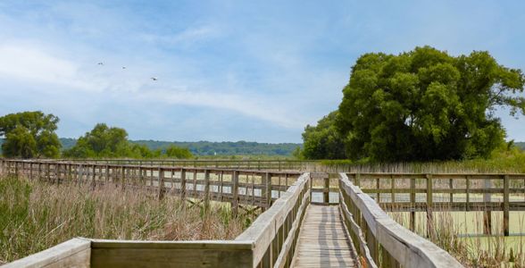 Arbors at Eastland by Lennar in Crandall - image