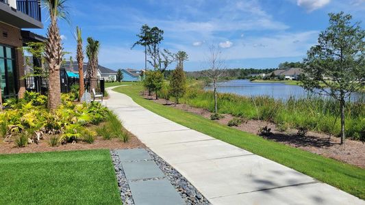 Encore - Restore at Carolina Park - Garden Series by David Weekley Homes in Mount Pleasant - photo 22 22