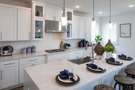 Elyson: 55ft. lots by Highland Homes in Katy - photo 20 20