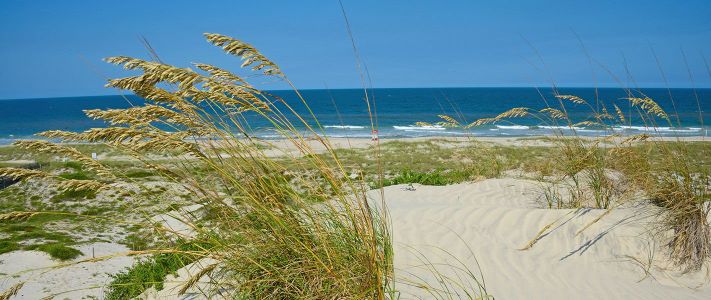 Amelia National by ICI Homes in Fernandina Beach - photo 11 11