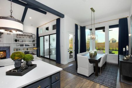 Meridiana 90' by Drees Custom Homes in Manvel - image 9