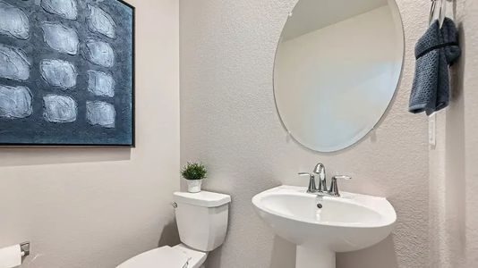 Tanterra: The Parkside 11