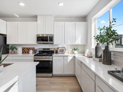 The Commons at Victory Ridge by Lokal Homes in Colorado Springs - image 3