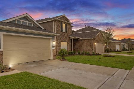 Mustang Crossing by M/I Homes in Alvin - photo 2 2