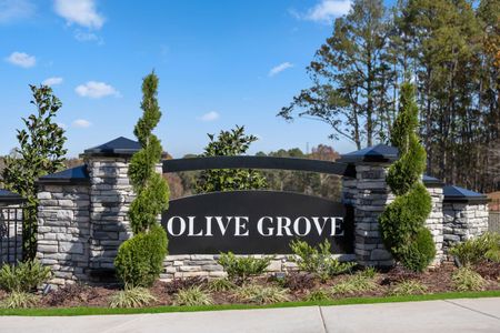 Olive Grove by KB Home in Durham - photo