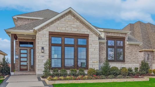 Solterra Texas by DRB Homes in Mesquite - image 4