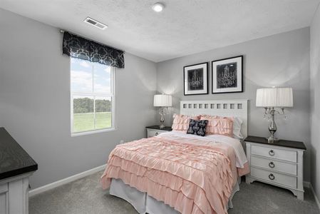 Cavastead Single Family Homes by Ryan Homes in Raleigh - photo 13 13