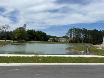 Pearl Estates by Lennar in Lutz - photo 5 5