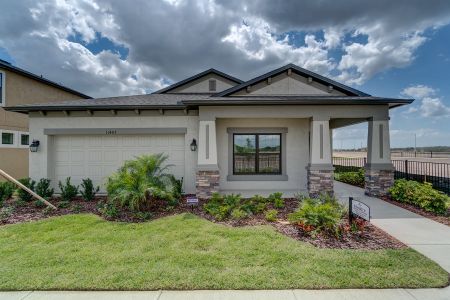 Epperson by M/I Homes in Wesley Chapel - photo 38 38