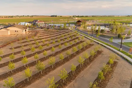 Rain Dance - Master planned community in Windsor, CO 8 8