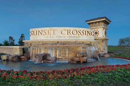 Sunset Crossing by D.R. Horton in Rosenberg - photo 15 15