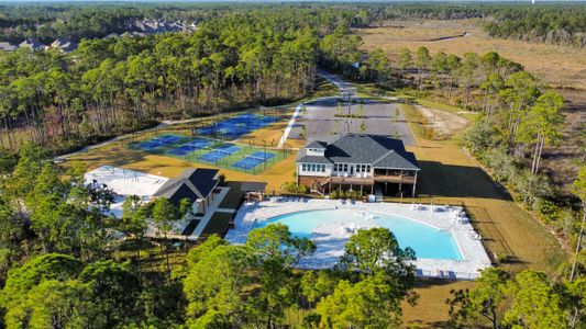 Bird Song at Hammock Bay by DSLD Homes in Freeport - image 2