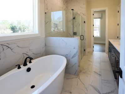 Hillgrove Preserve by Brock Built in Powder Springs - image 19