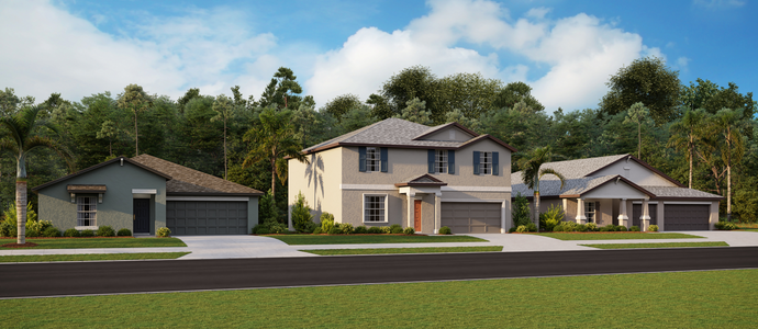 Wind Meadows South: The Estates by Lennar in Bartow - photo 0 0